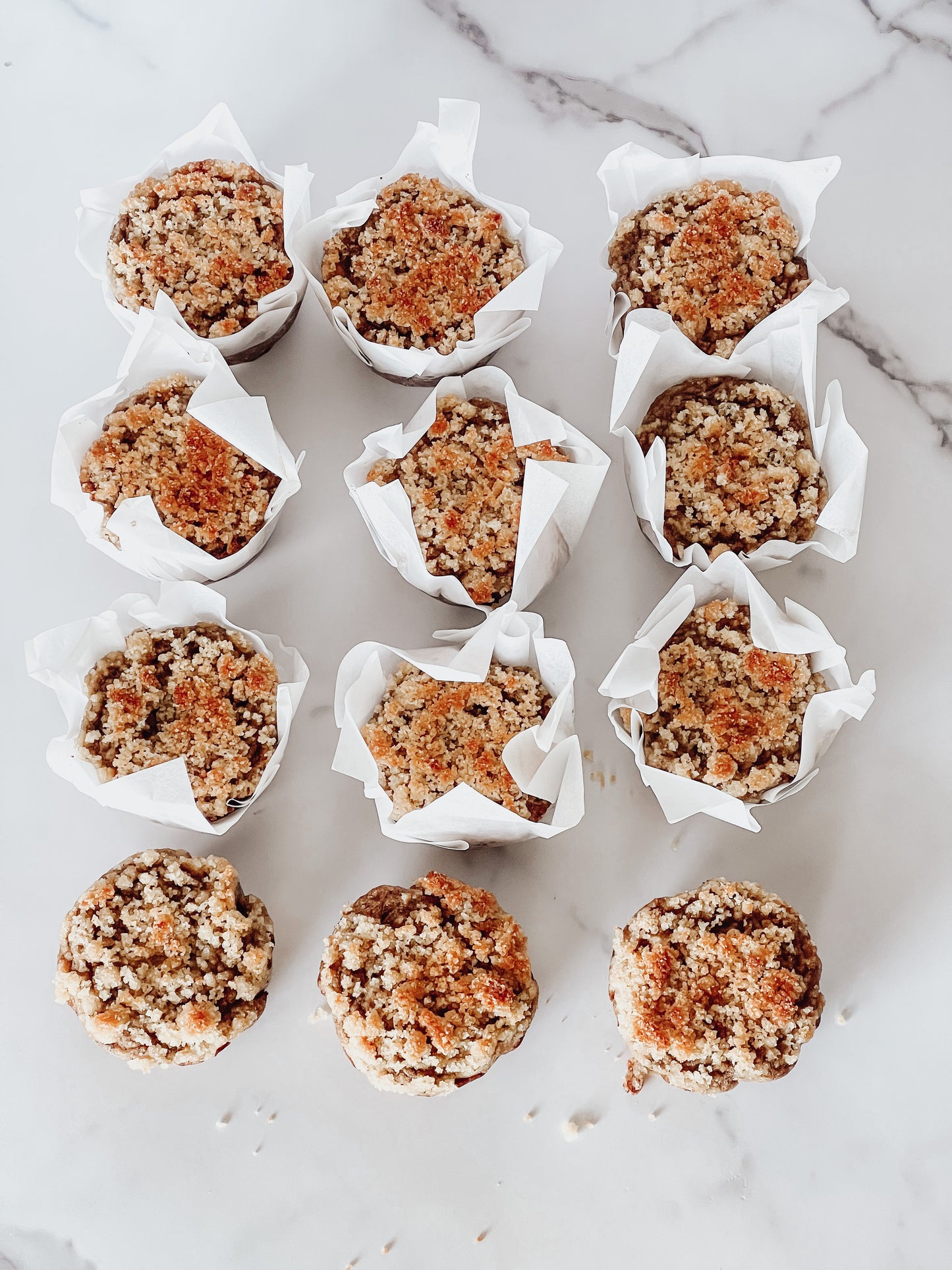 Banana Crumble Jumbo Protein Muffins